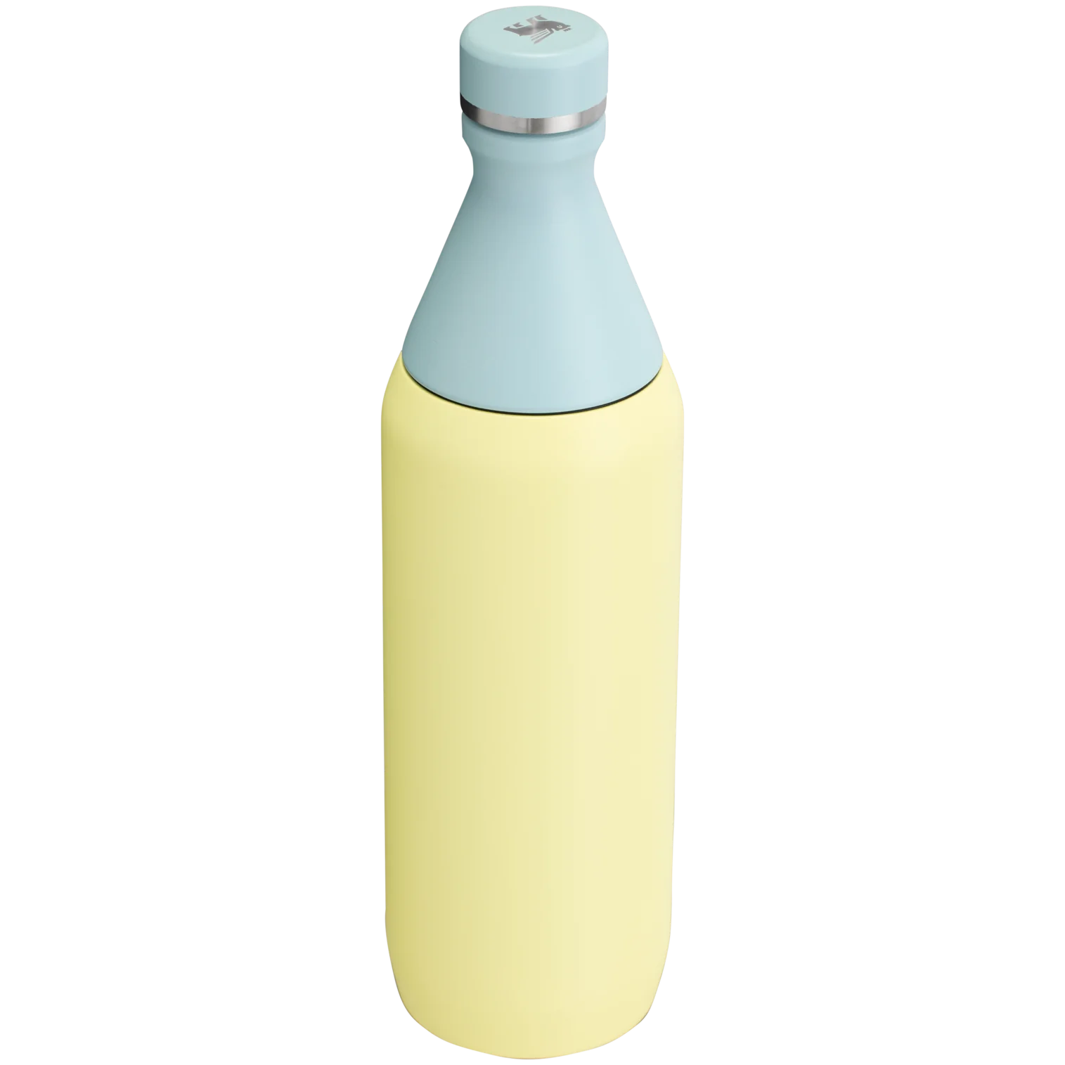STANLEY ALL DAY SLIM BOTTLE 20 Oz