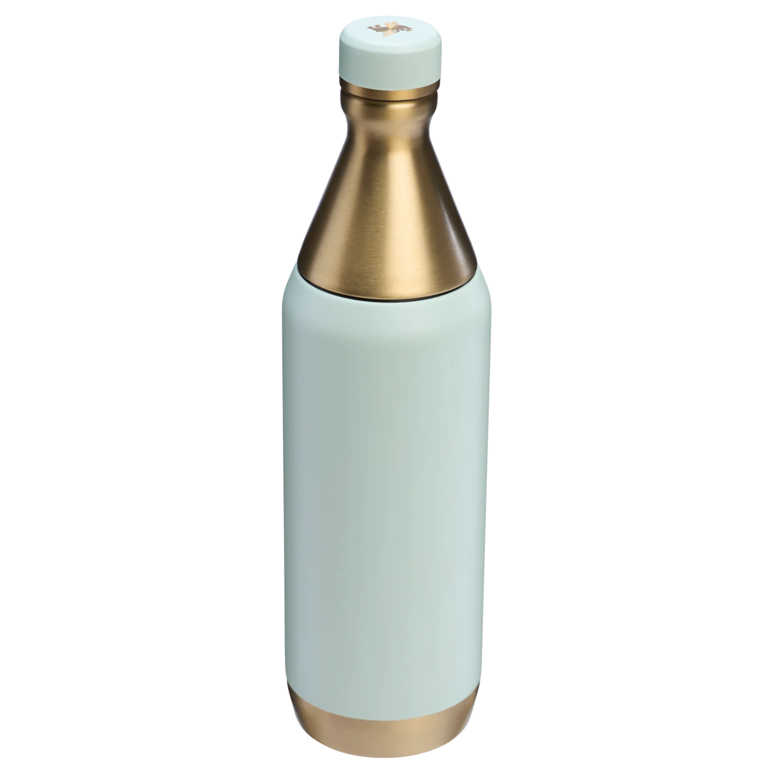 STANLEY ALL DAY SLIM BOTTLE GILDED 591 ML