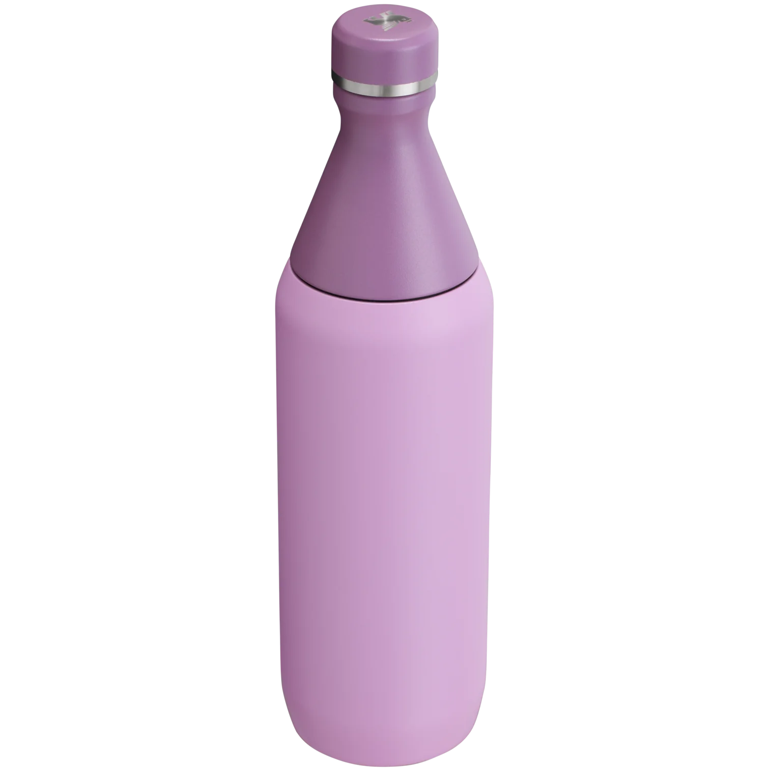 STANLEY ALL DAY SLIM BOTTLE 20 Oz