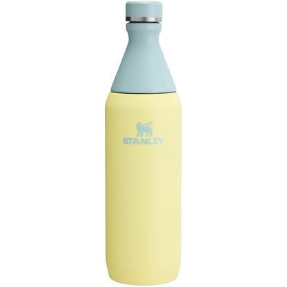STANLEY ALL DAY SLIM BOTTLE 20 Oz