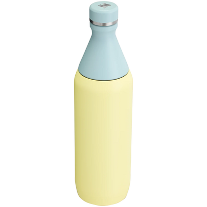 STANLEY ALL DAY SLIM BOTTLE 20 Oz
