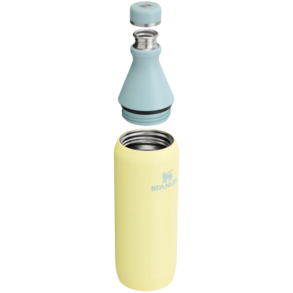 STANLEY ALL DAY SLIM BOTTLE 20 Oz