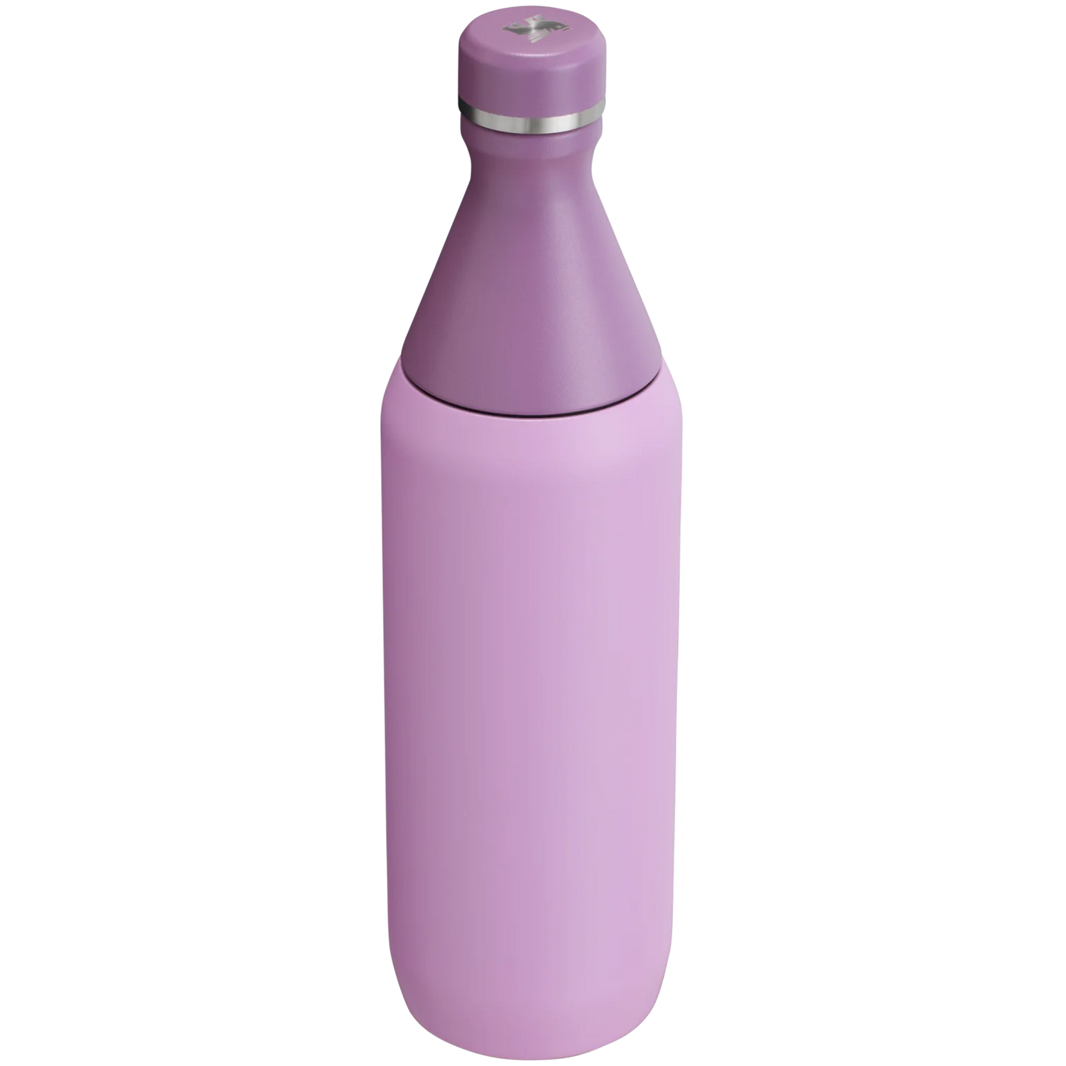 STANLEY ALL DAY SLIM BOTTLE 20 Oz