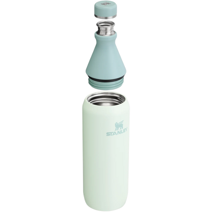 STANLEY ALL DAY SLIM BOTTLE 20 Oz