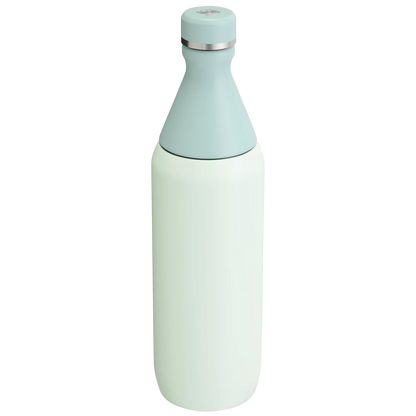 STANLEY ALL DAY SLIM BOTTLE 20 Oz