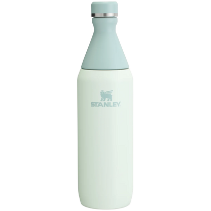 STANLEY ALL DAY SLIM BOTTLE 20 Oz