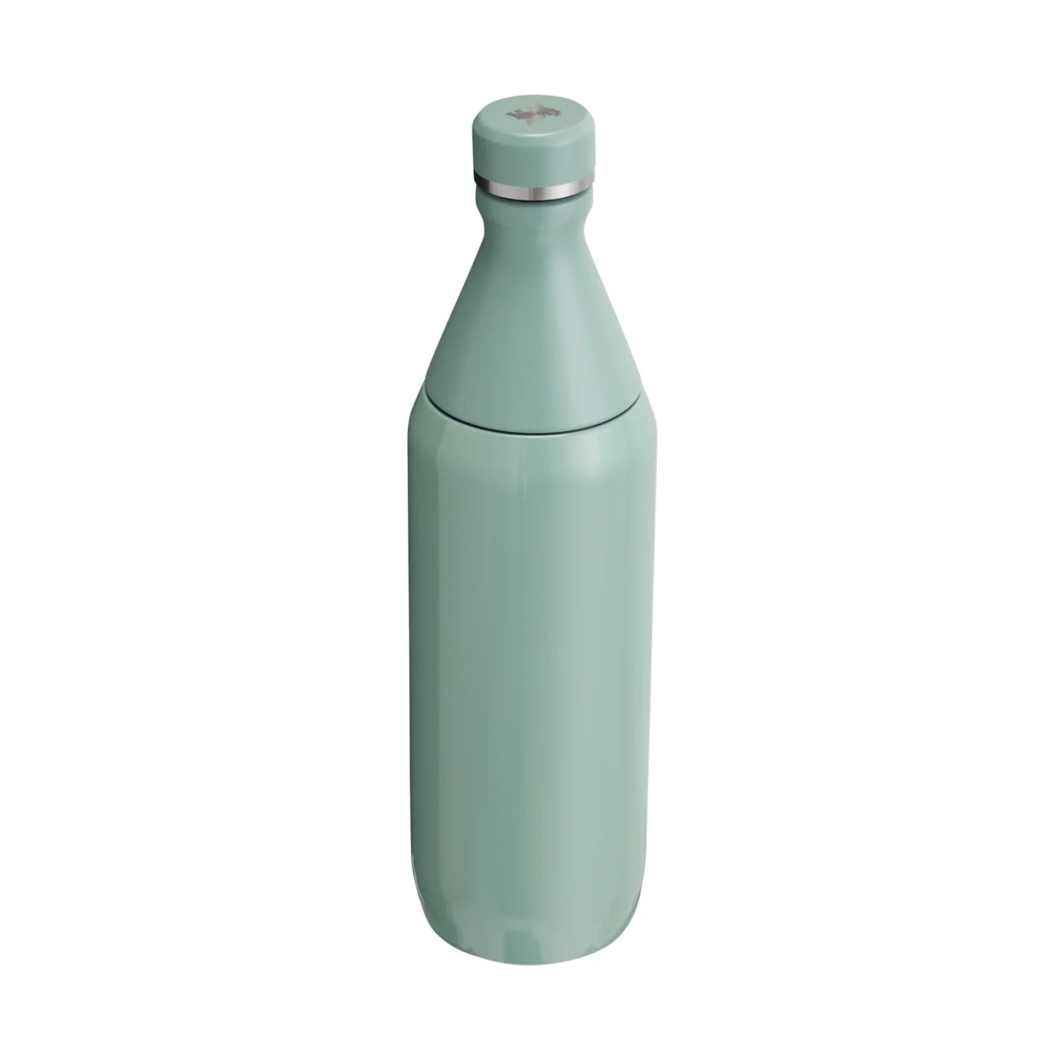 STANLEY ALL DAY SLIM BOTTLE 20 Oz