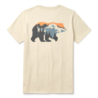 YETI MOUNTAIN BEAR SST HEATHER DAMA